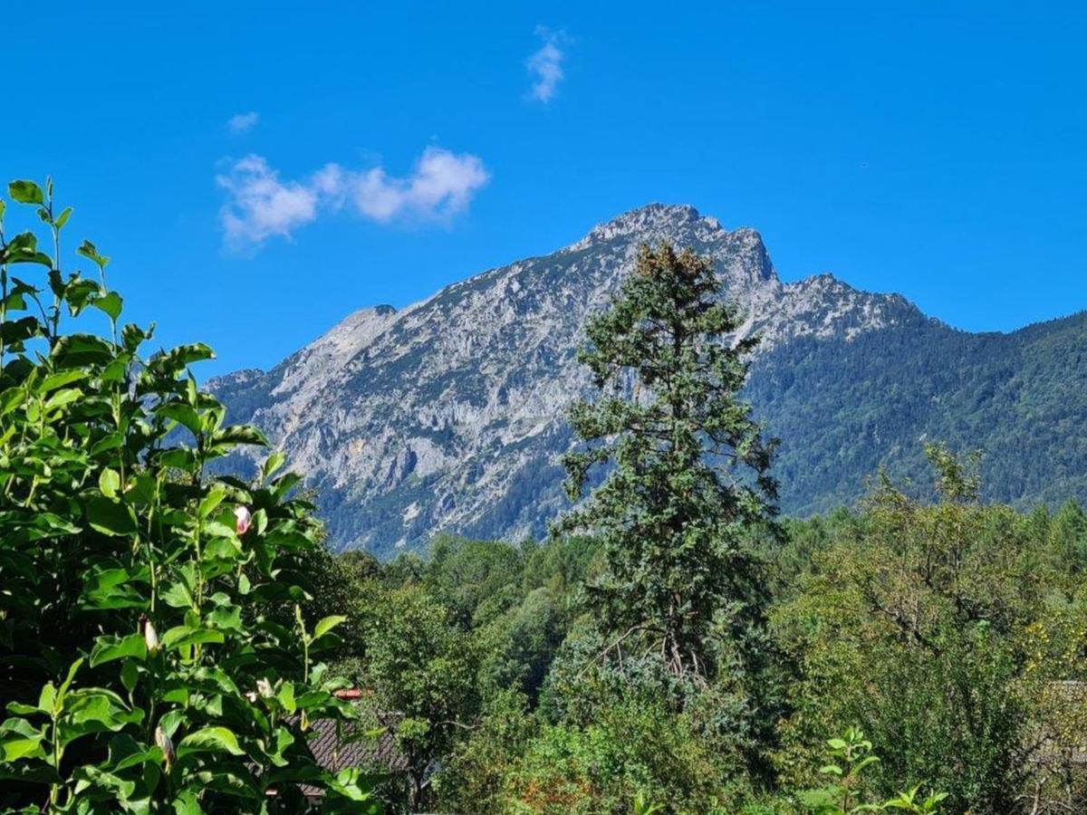 Ferienwohnungen Sommer Bayerisch Gmain Eksteriør billede